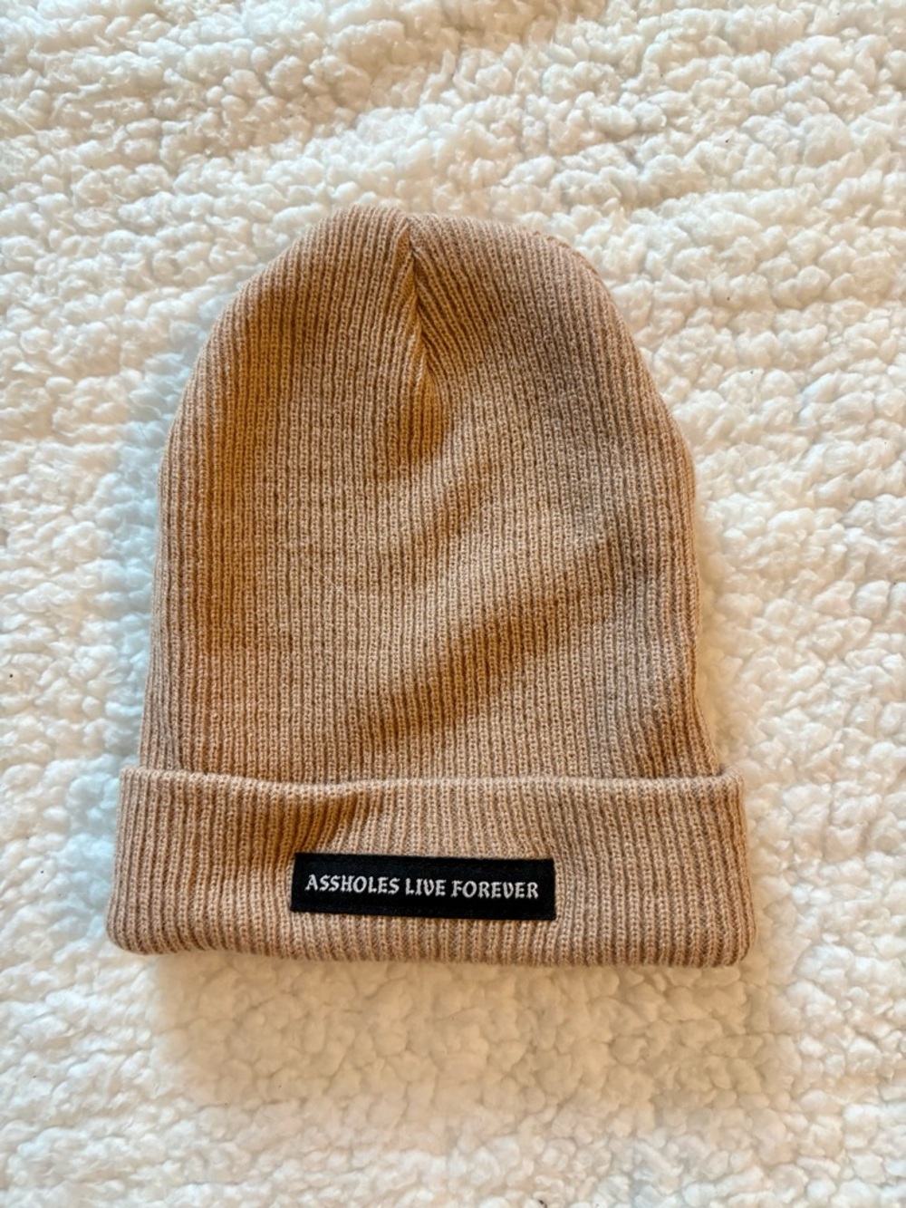 Assholes Live Forever beanie